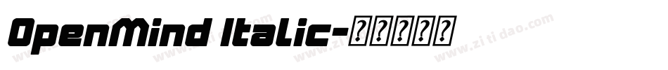 OpenMind Italic字体转换
